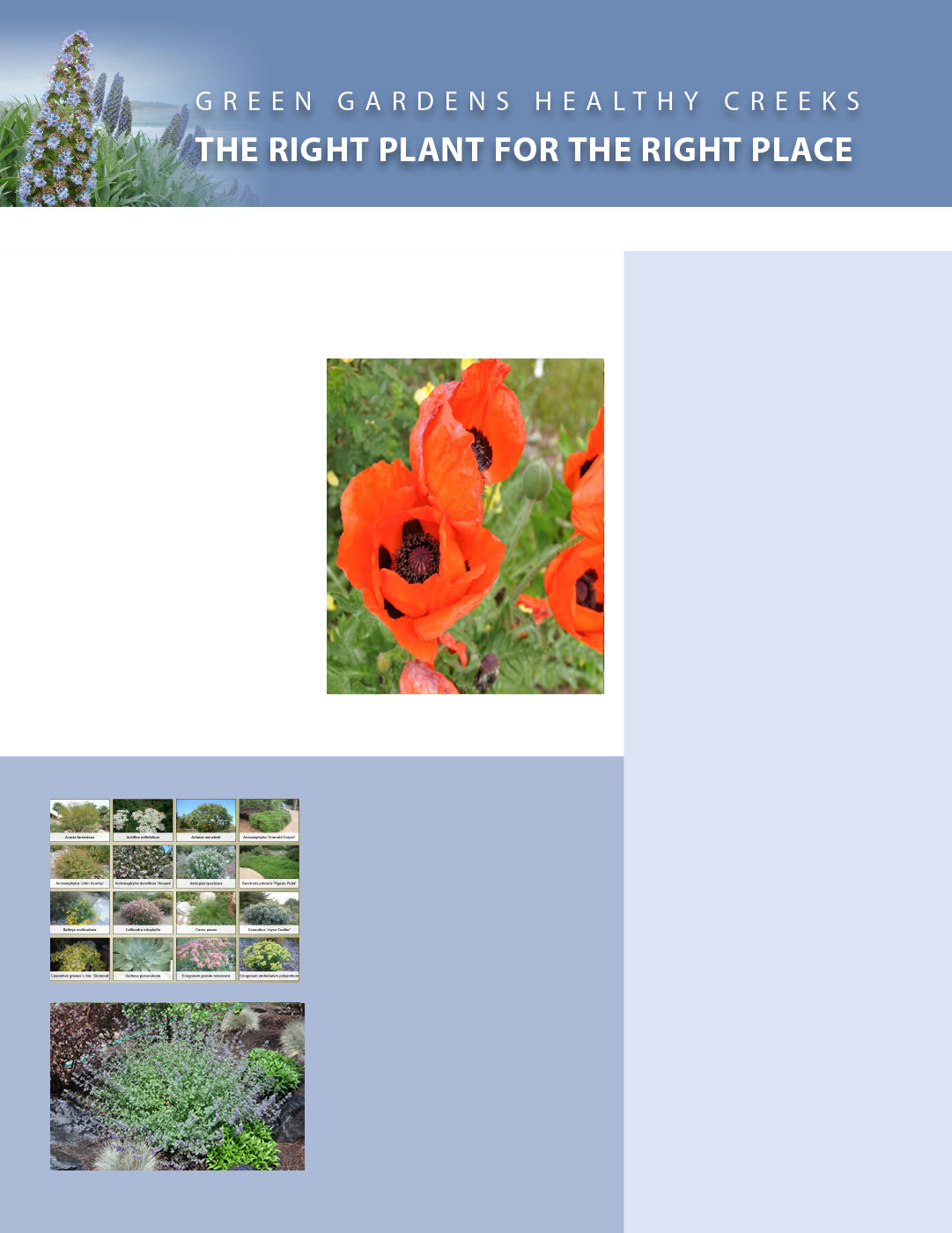Right Plant page 1