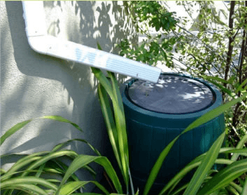 Rain harvesting