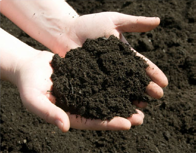 Rich Soil photo