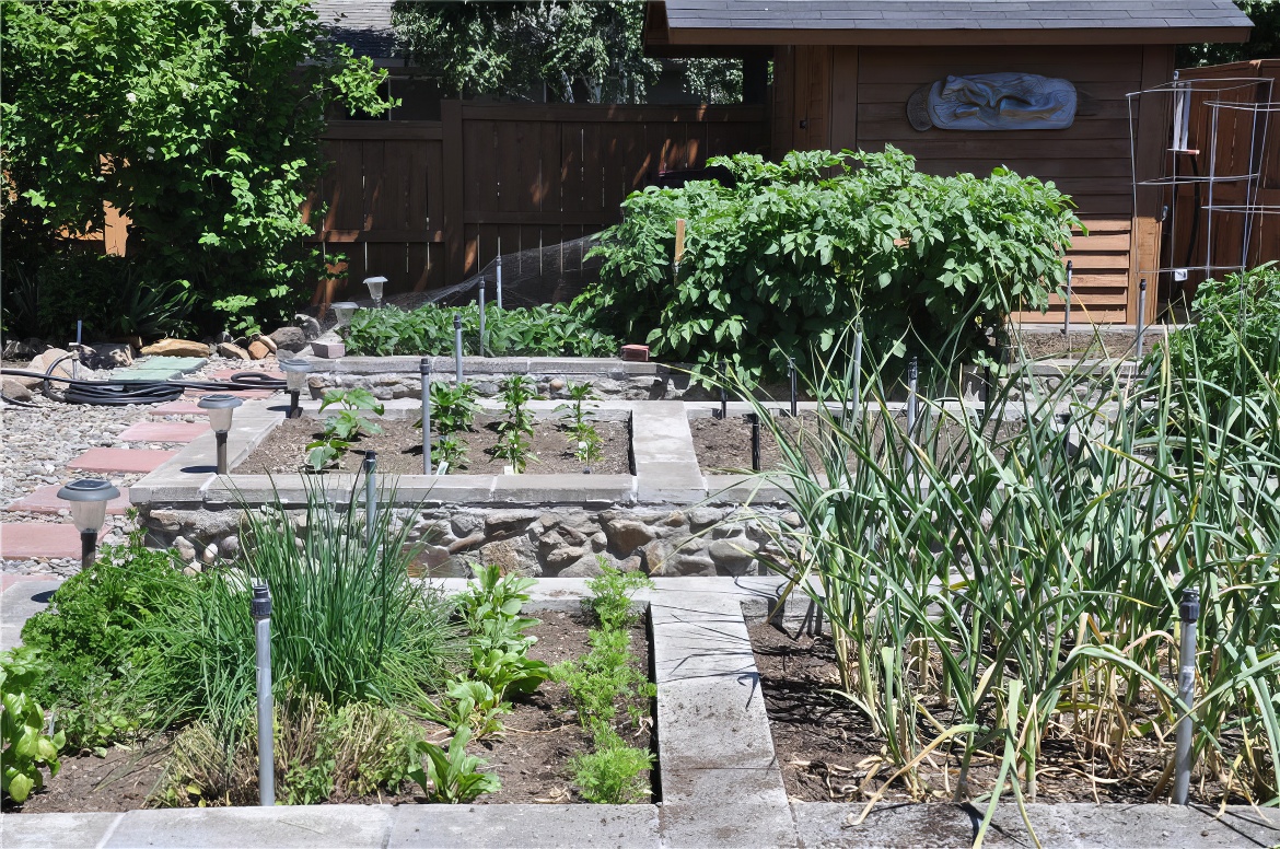 Individual Plots