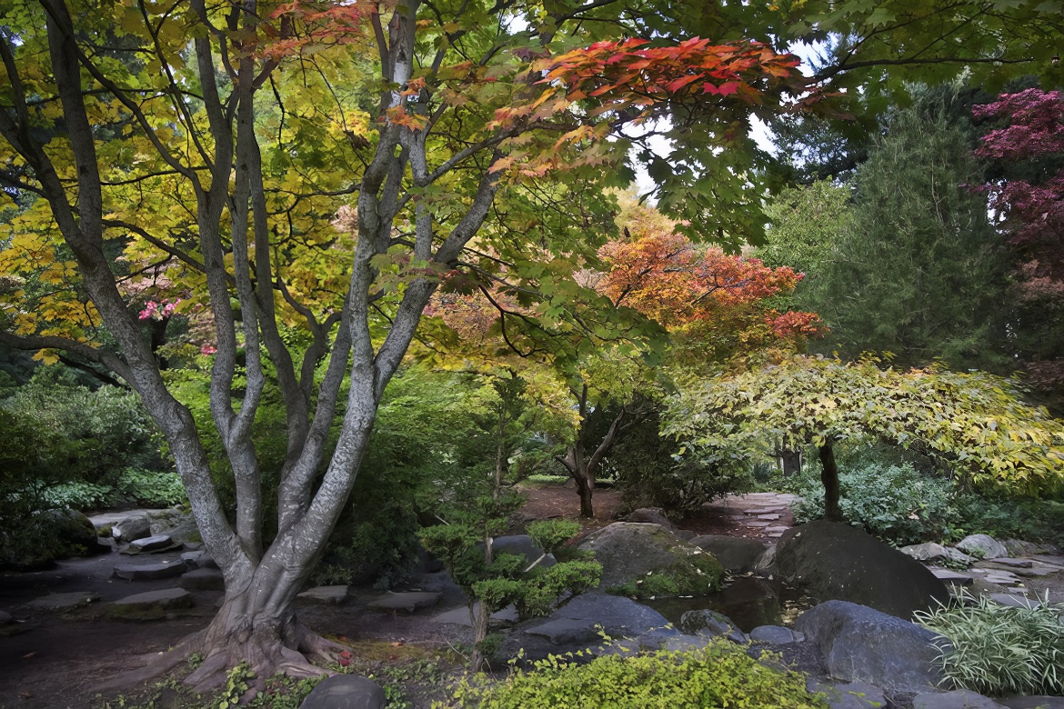 Lithia Park A. 2