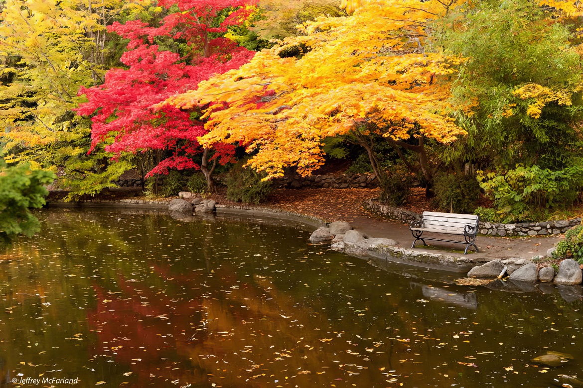 Lithia Park Pictures 13