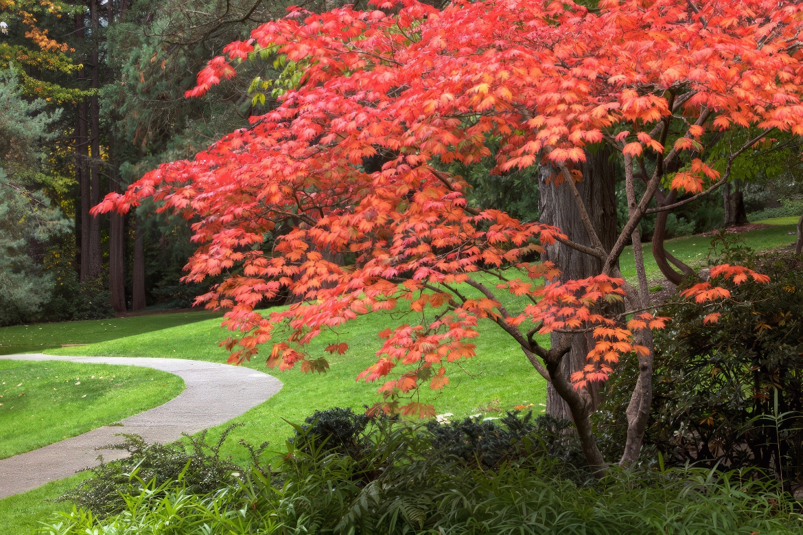 Lithia Park Pictures 15