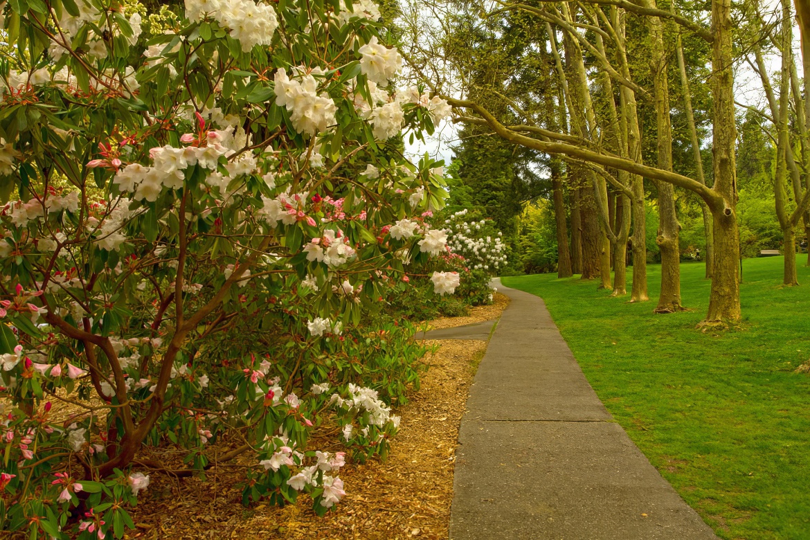 Lithia Park Pictures 17