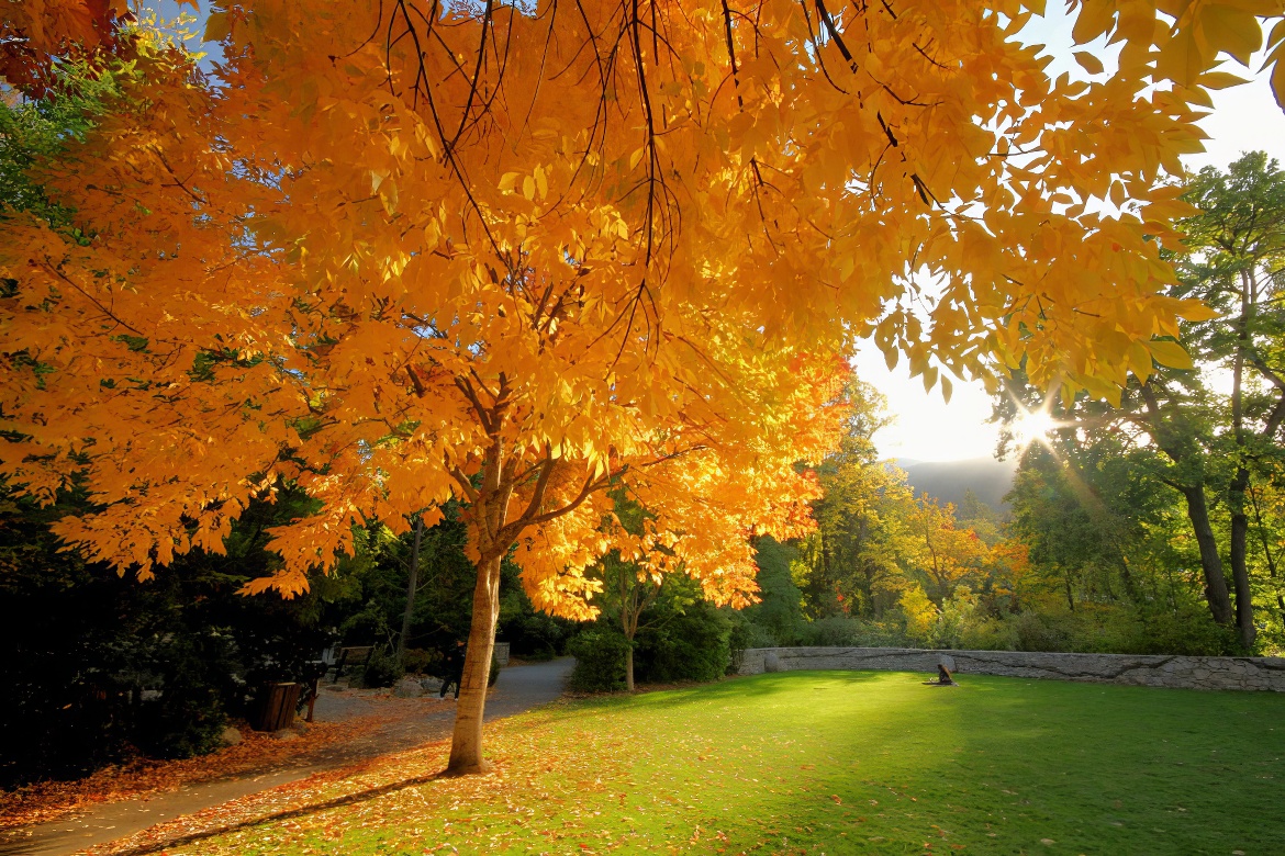 Lithia Park Pictures 18