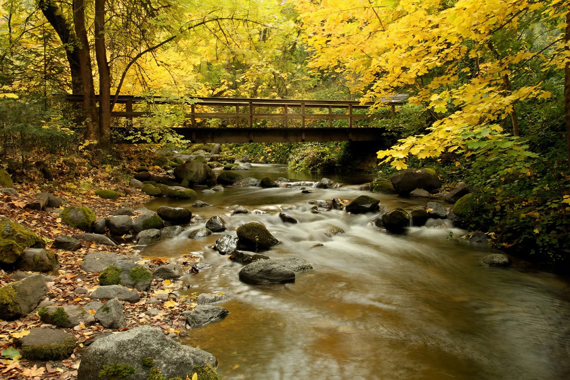 Lithia Park Images 2