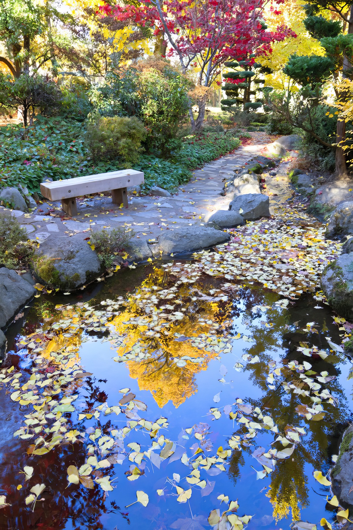 Lithia Park Images 8