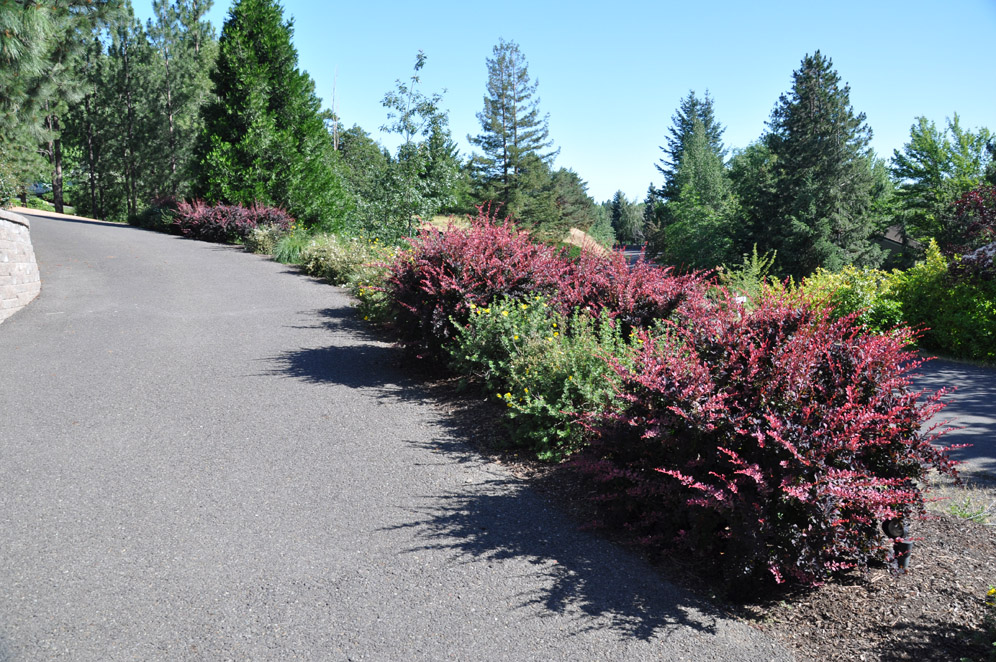 Kerry Vista Garden 3