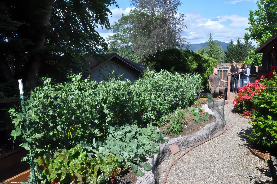 Newfound Asian Garden 8