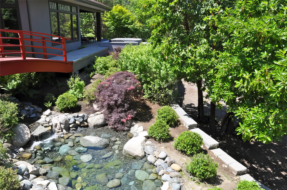 Pond View From House